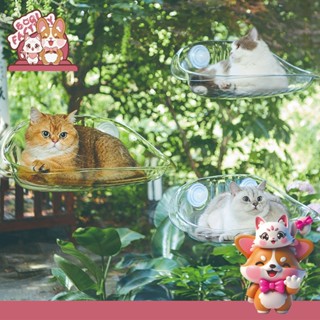 Boqi Factory เปลแมวติดกระจก สีใส  ที่นอนสัตว์เลี้ยง มีพร้อมส…