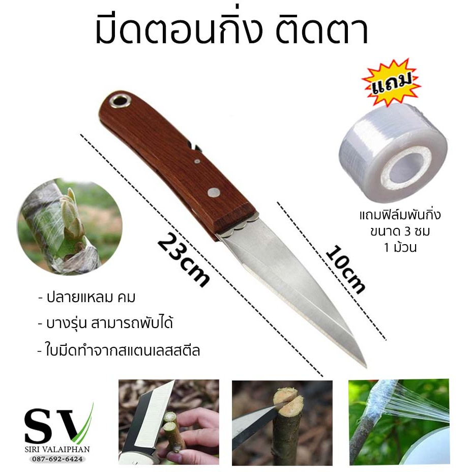มีดตอนกิ่ง ติดตา ชำกิ่ง ขนาด 7.5 - 8 นิ้ว แถมเทปพันกิ่ง 3 ซม 1 ม้วน ใบมีดสแตนเลส ปลายแหลม คม ทนทาน