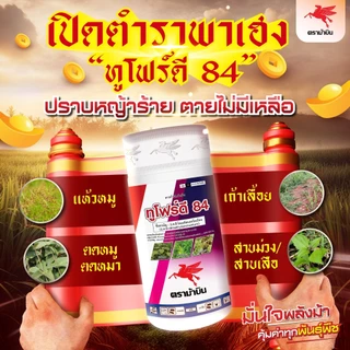 ทูโฟร์ดี ตราม้าบิน ขนาด 4ลิตร