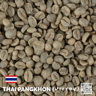 สารกาแฟไทยปางขอน จ.เชียงราย , Chiang Rai Pangkhon 100 % บรรจุ 1Kg. RK.Coffeebean [พร้อมส่ง]