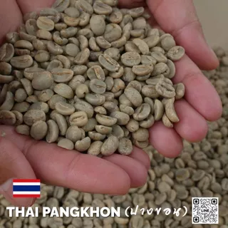 สารกาแฟไทยปางขอน จ.เชียงราย , Chiang Rai Pangkhon 100 % บรรจุ 1Kg. RK.Coffeebean [พร้อมส่ง]