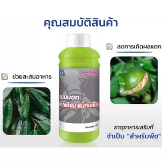 แมมมอท แคลเซียม แม็กนีเซียม เทพวัฒนา ตราปลาคู่ ธาตุอาหารรองที่จำเป็นสำหรับพืชทำให้พืชแข็งแรง
