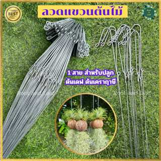 ลวดแขวนกระถางต้นไม้ 1 สาย ลวดแขวนลูกเดฟ - ต้นเคราฤาษี กล้วยไ…