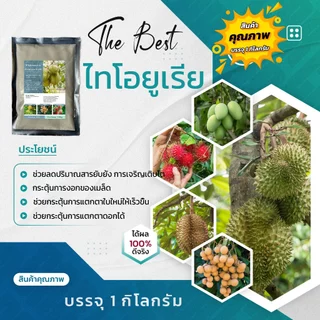 ไทโอยูเรีย สารกระตุ้นการแตกใบอ่อน สารเร่งดอกลำไย ดอกมะม่วง ดอกทุเรียน ดอกลิ้นจี่ เงาะลองกองพืชอื่นๆ