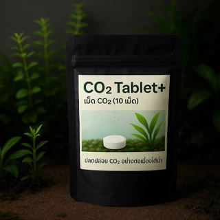 เม็ดco2 สำหรับต้นไม้น้ำตู้ไม้น้ำ 12เม็ดสุดคุ้ม
