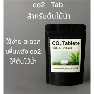 เม็ดco2 สำหรับต้นไม้น้ำตู้ไม้น้ำ 12เม็ดสุดคุ้ม