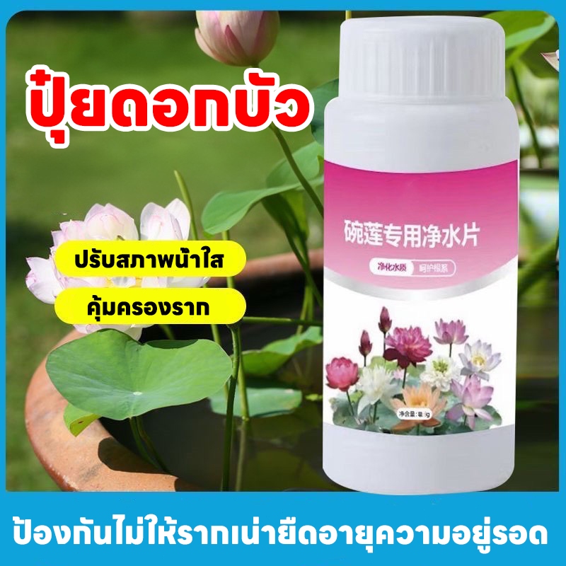 ล่าสุด ปุ๋ยดอกบัว เม็ดทำน้ำให้บริสุทธิ์สำหรับชามดอกบัว สารเร่งราก ปุ๋ยบัว Water purification tablets