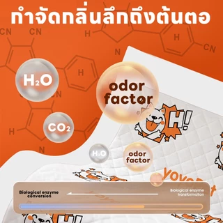 yoyopet : แผ่นรองฉี่ <ไม่มีแผ่นกาว> Pet Pad แผ่นรองฉี่สัตว์เลี้ยง ซึมซับดี ช่วยฝึกการขับถ่าย
