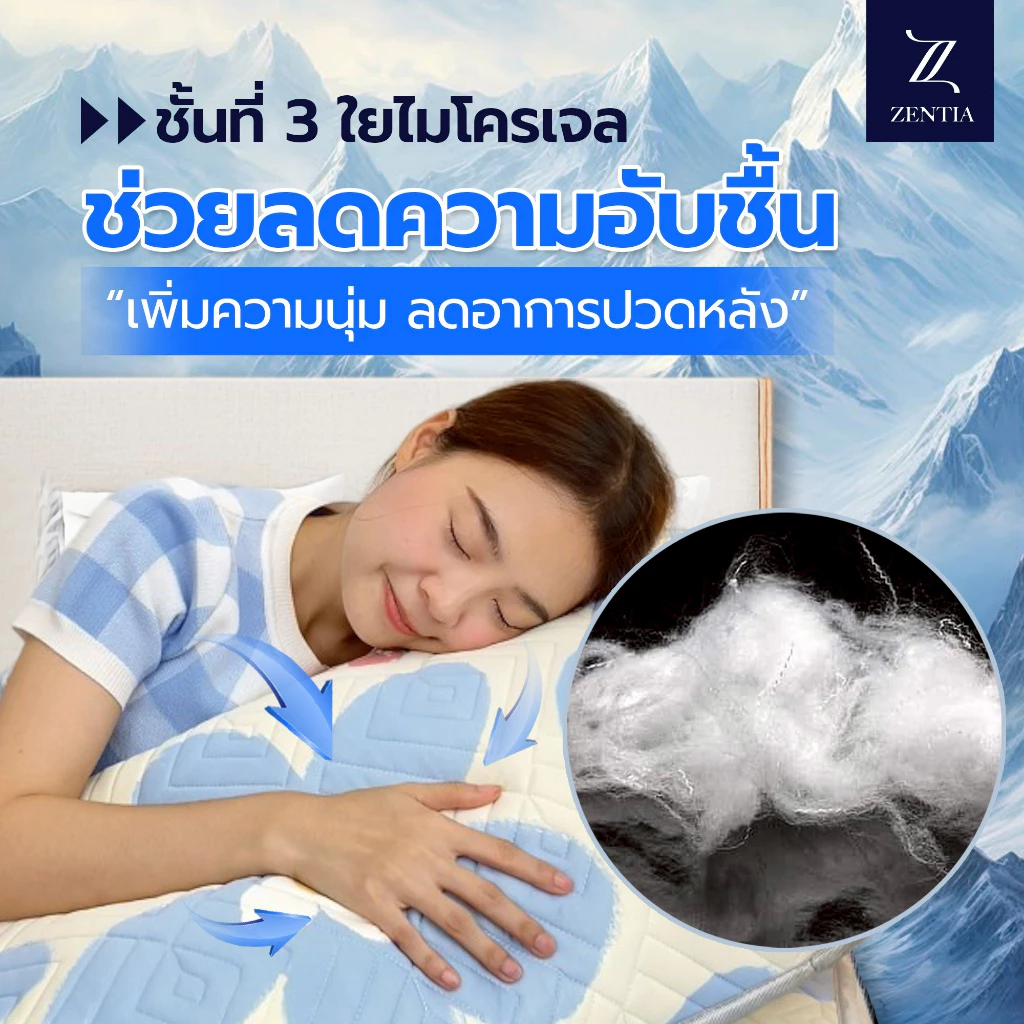 ZENTIA ชุดผ้าปูพร้อมผ้านวมที่นอนยางพาราไหมน้ำแข็ง thumbnail 5