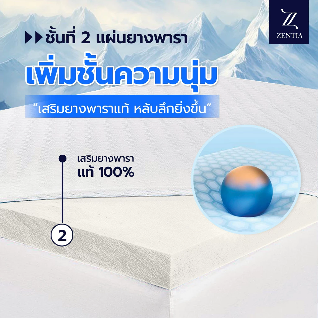 ZENTIA ชุดผ้าปูพร้อมผ้านวมที่นอนยางพาราไหมน้ำแข็ง thumbnail 4