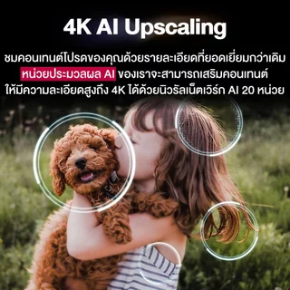 Samsung 55S90F OLED 4K Smart TV 55 นิ้ว HDR10+ 144Hz 55S90FAKXXT 2025 ประกันศูนย์