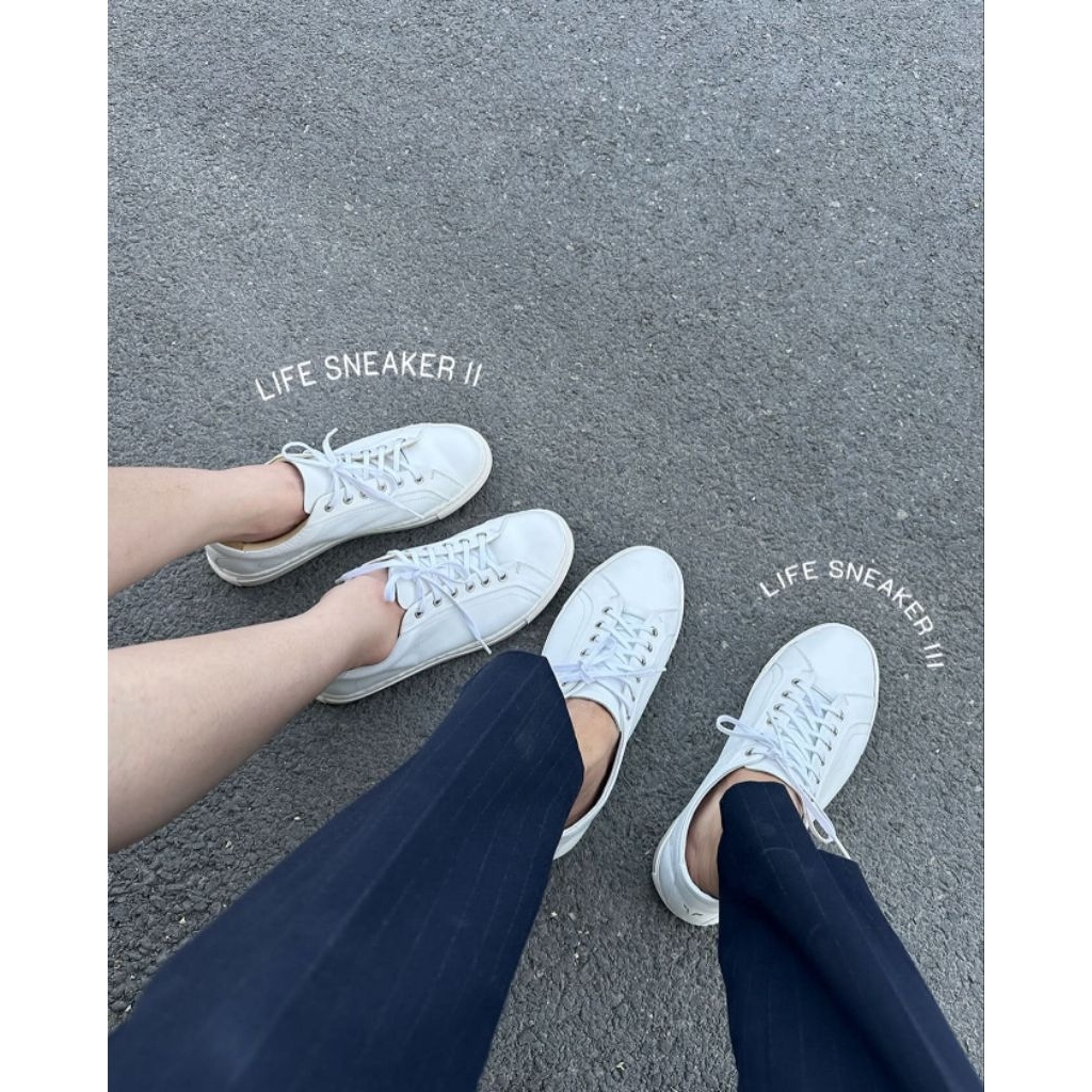 รูปภาพ 6