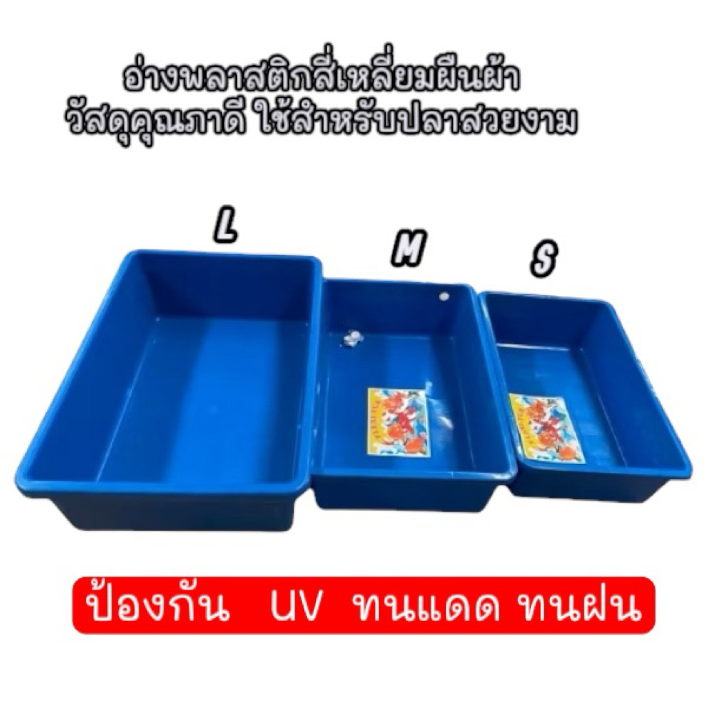 อ่างสำหรับเลี้ยงปลาอ่างพลาสติก สี่เหลี่ยมผืน คุณภาพดี สำหรับเลี้ยงปลา ขนาด Ss M L