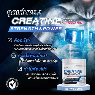 🚛จัดส่งฟรี🔥New Life Plus Creatine Monohydrate ครีเอทีน ผสมคอลลาเจน 1 กระปุก 300g ช่วยเพิ่มความแข็งแรงของกล้ามเนื้อ