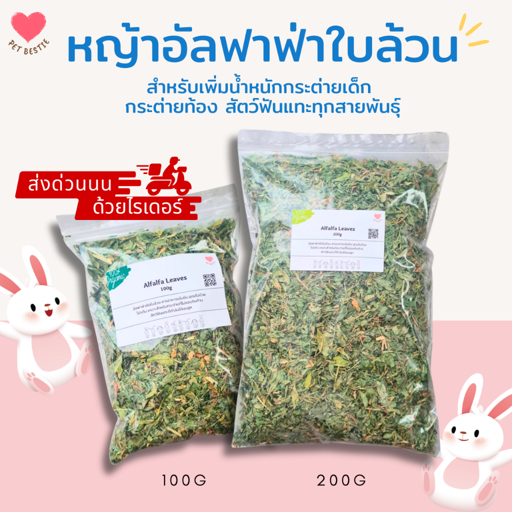 หญ้าอัลฟัลฟ่าใบล้วนพรีเมียมร่อนฝุ่น 100/200 กรัม เขียวหอม สำหรับกระต่ายเด็ก กระต่ายท้อง สัตว์ฟันแทะ