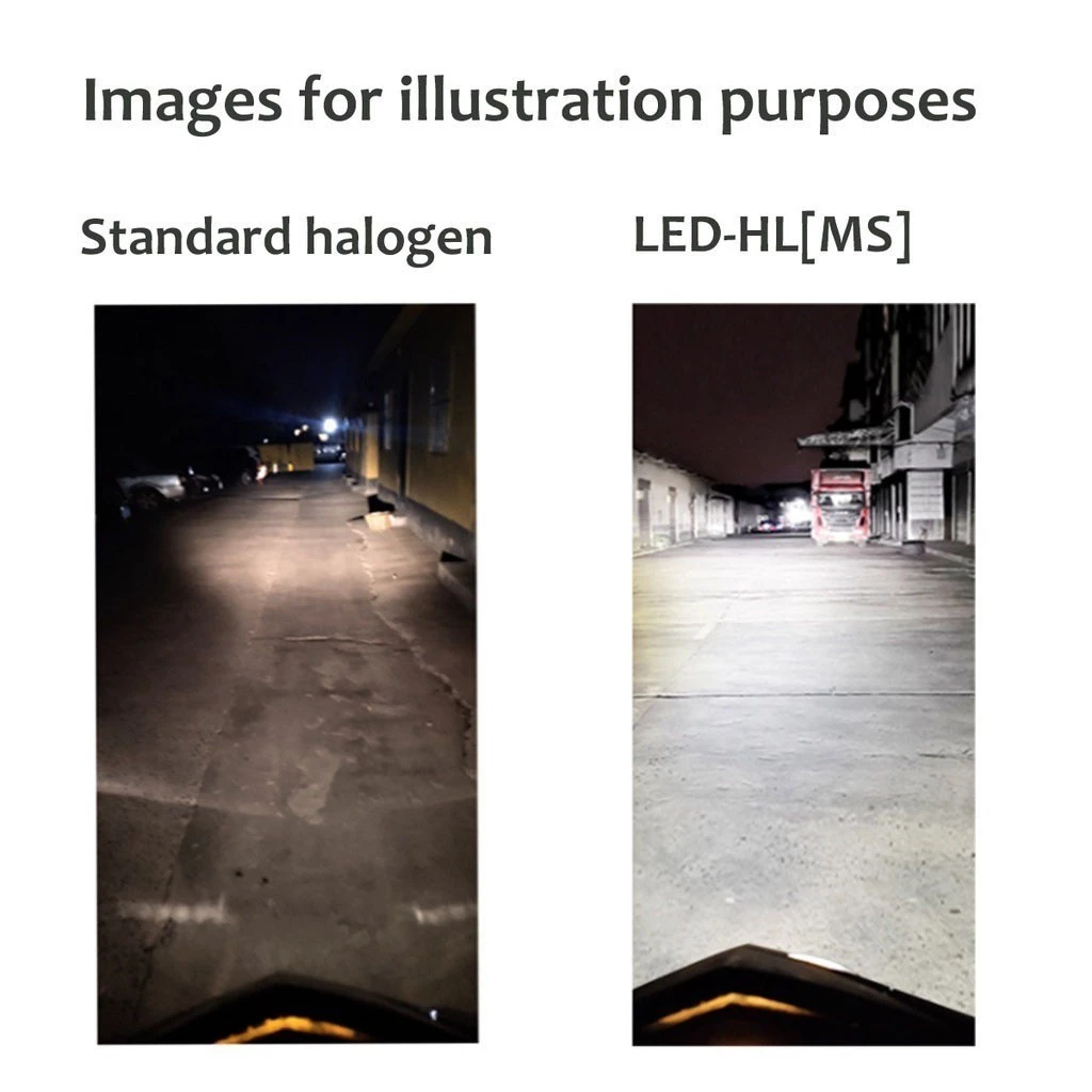 รูปภาพ 5