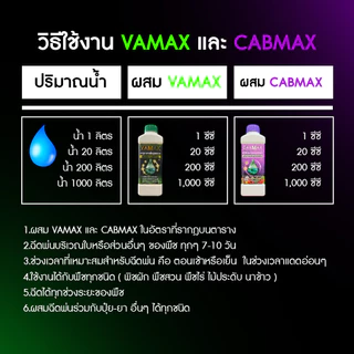 (1ชุด) CABMAX แคลเซียมโบรอนเข้มข้น VAMAX ธาตุอาหารรวมเข้มข้น ZENMAX อะมิโนรวมเข้มข้น (Z1+C1+V1)