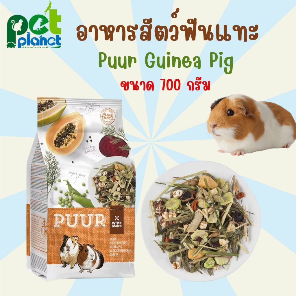 [700กรัม] อาหารสัตว์ฟันแทะ Puur Guinea Pig อาหารสำหรับ หนูตะเภา หนูแกสบี้ และ สัตว์ฟันแทะ อื่นๆ
