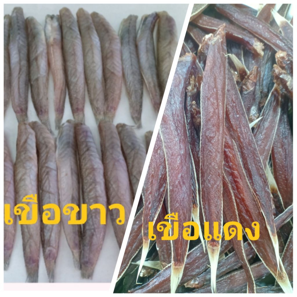 ปลาเขือขาว , เขือแดง แบบแห้ง 500 กรัม