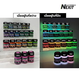 สีเรืองแสง 3 มิติ Nexit by LumiGLOW ทานูน-เรียบได้ งาน DIY งานศิลปะ เพ้นท์ตกแต่งทั่วไป สูตรน้ำไม่มีกลิ่นฉุน