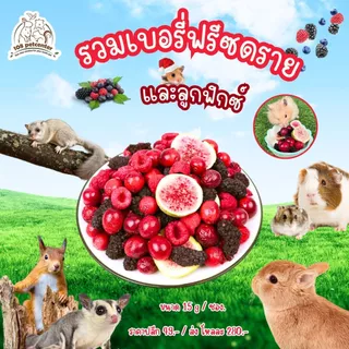 ขนมหนูแฮมสเตอร์ ชูก้าร์ไกรเดอร์ กระรอก ขนมสัตว์เล็ก เบอรี่อบ ผลไม้รวมสำหรับกระรอก