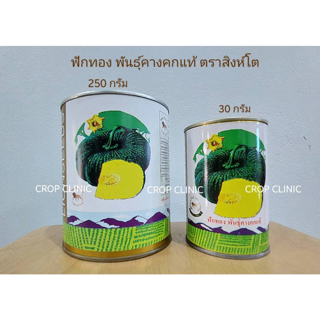 เมล็ดพันธุ์ฟักทอง พันธุ์คางคกแท้ ตราสิงห์โต ขนาด 30 กรัม และ 250 กรัม