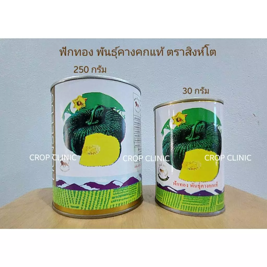 เมล็ดพันธุ์ฟักทอง พันธุ์คางคกแท้ ตราสิงห์โต ขนาด 30 กรัม และ 250 กรัม