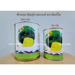 เมล็ดพันธุ์ฟักทอง พันธุ์คางคกแท้ ตราสิงห์โต ขนาด 30 กรัม และ 250 กรัม