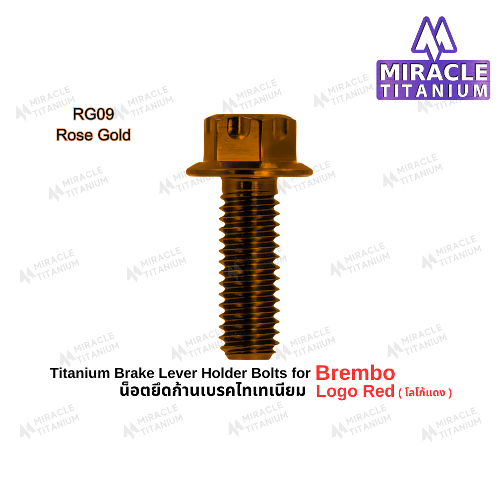 Brembo Logo Red Brake Lever Holder Bolt น็อตยึดก้านไทเทเนียม โลโก้แดง ราคา ถูกที่สุด ดีลบีเคเค แกลเลอรีภาพที่ 8