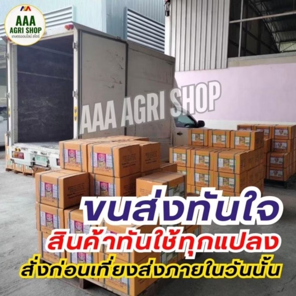 อิมิดาโคลพริด10 เอสแอล ป้องกันกำจัด เพลี้ยต่างๆ เช่น เพลี้ยไฟ เพลี้ยไก่แจ้ เพลี้ยจักจั่น เพลี้ยอ่อน และเพลี้ยต่างๆ - รูปที่ 7