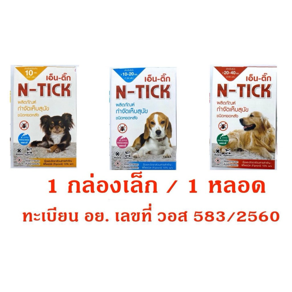 รูปภาพ 2