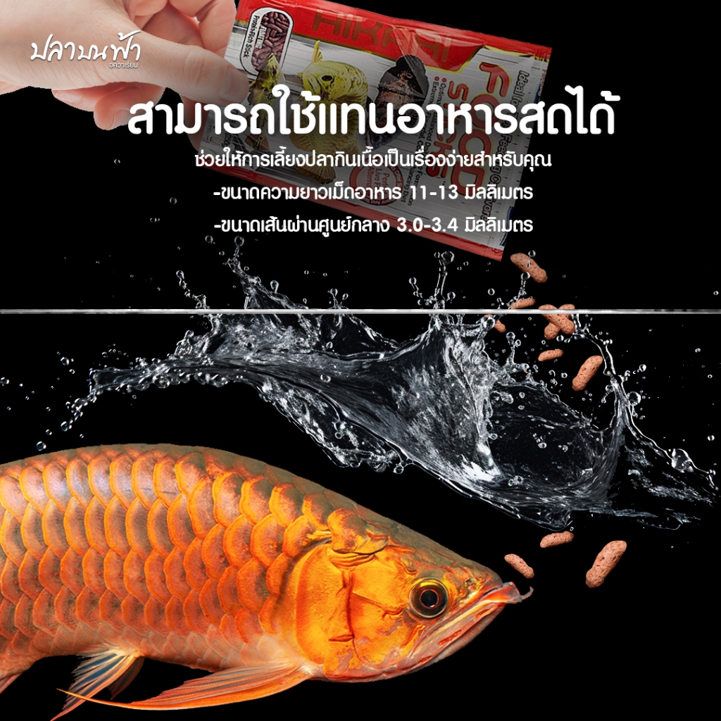 Hikari Tropical Food Sticks ฮิคาริ อาหารปลา มังกร ปลาอะโรวาน่า ปลานกินเนื้อ ขนาด 57g , 250g ชนิดเม็ดลอย รูปที่ 4
