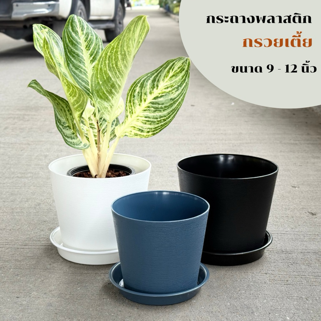 ‼️ถูก  ส่งเร็วทันใจ‼️  กระถางพลาสติกทรงกรวยเตี้ย พร้อมจานรอง ขนาด 9-12 นิ้ว