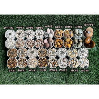 หินแม่น้ำธรรมชาติ หินกรวด หินแกลบ ตกแต่งตู้ปลา สวนถาด กระถาง…