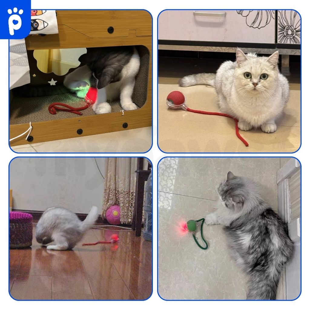 [🔥5.5ลดสูงสุด450.-]My Paws Cat Toy ของเล่นแมว ลูกบอลแมวอัจฉริยะ ลูกบอลแมวอัติโนมัติ รูปที่ 7