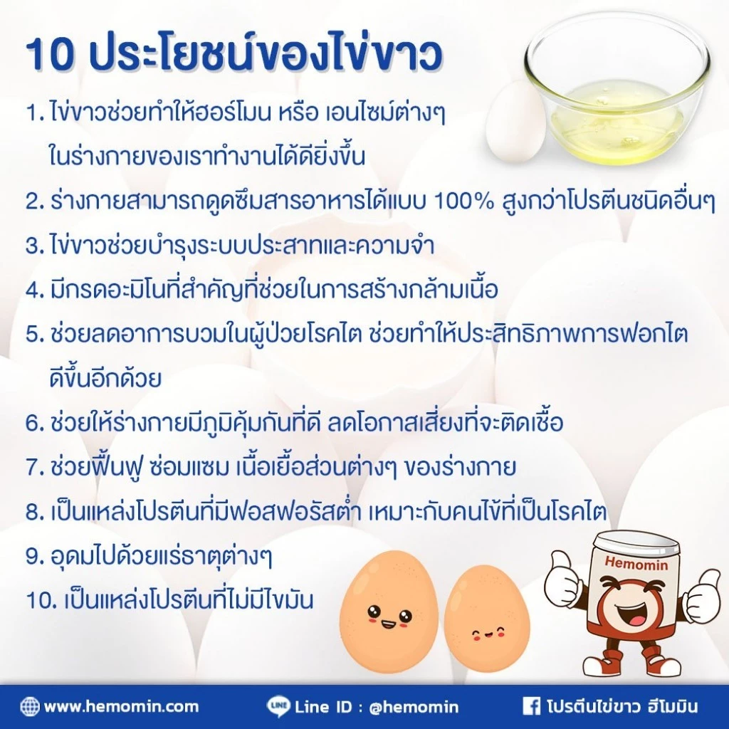 Hemomin ฮีโมมิน โปรตีนไข่ขาวชนิดผง 400g thumbnail 3