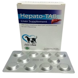 Hepato Tab วิตามินบำรุงตับสำหรับสุนัขและแมวของแท้100%(แบ่งขา…