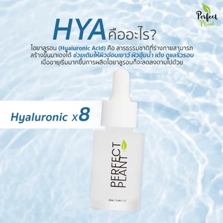 DR.NAME X Perfect Plant 8D HYA+Ceramide Moisturizer ไฮยา มอยส์เจอไรเซอร์ ผิวชุ่มชื้น บำรุงผิว 20 ML