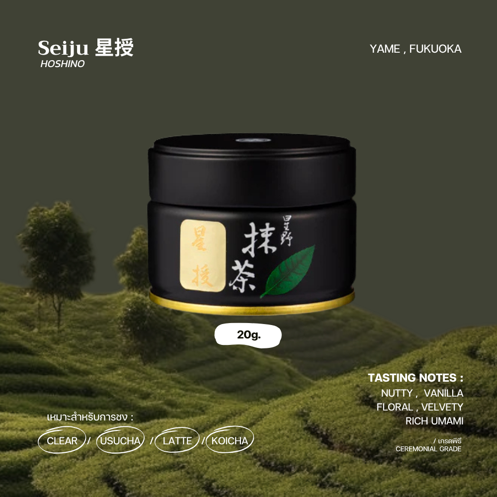 มัทฉะเกรดพิธี "Seiju (星授)" - HOSHINO SEICHAEN