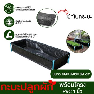 กระบะปลูกผัก​ ขนาด​ 200x60x30cm/​100x60x30cm กะบะเพาะปลูก แป…