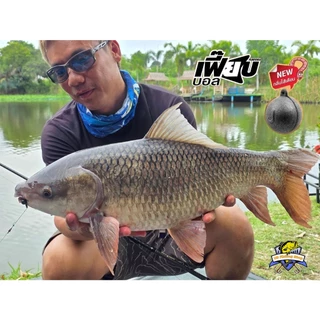 เม็ดโฟมสีดำ เฟี๊ยบบอล ไส้เดือน เหนียว ขาดยาก Mahseer Feabball Black เฟี๊ยบบอลดำ
