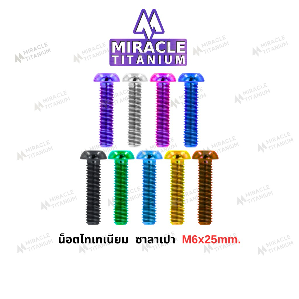 Button Head หัวซาลาเปา M6 x 25 mm