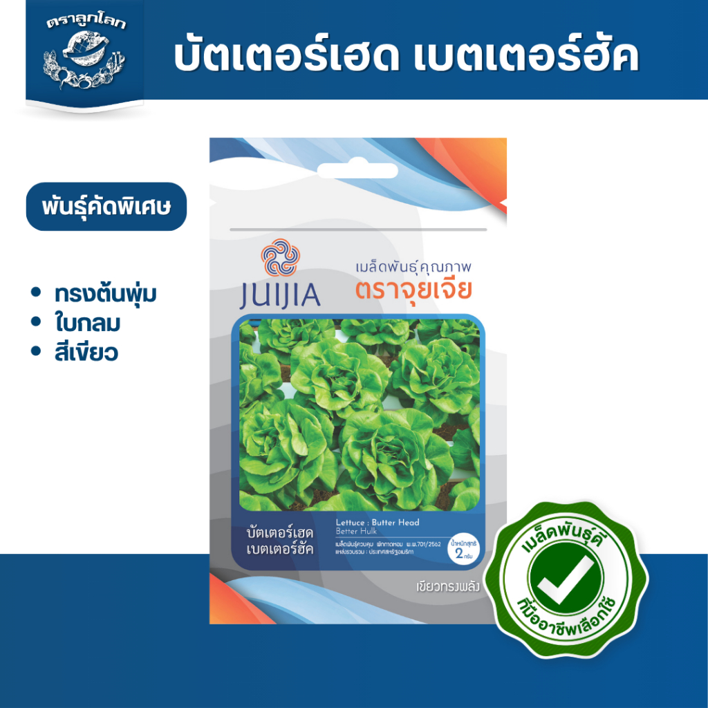 ตราลูกโลก เมล็ดผักกาดหอม บัตเตอร์เฮด(บัตเตอร์ฮัค) Lettuce เมล็ดพันธุ์ผัก ผักสวนครัว ผักซอง ลูกโลก