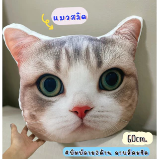 🐈หมอนอิงน้องแมว หมอนพิมพ์ลายแมว มีให้เลือกหลายลายค่ะ ภาพสีคมชัด ขนาด 60cm. พิมพ์ลาย2ด้าน น่ารักสุดๆ สัมผัสนุ่มมือ💖