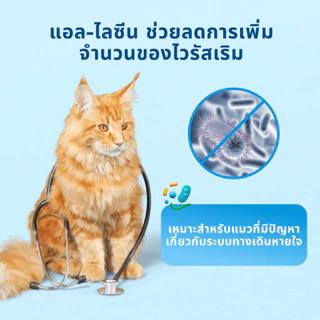 อาหารแมว Mr.Vet T2 ชุดคอมโบ 10 ซอง ขนาด 50 กรัม ช่วยบำรุงผิวหนังและขนให้สวย