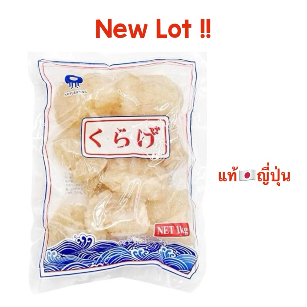 ส่งด่วน 4ชม. !!พร้อมส่ง ✨🇯🇵แมงกระพรุนหัวกระสุน ขนาด 1 กิโลกรัม ของแท้ จากญี่ปุ่น 💯