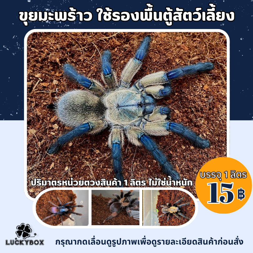 ขุยมะพร้าว ใช้รองพื้นตู้สัตว์เลี้ยง แบบประหยัด 1 ลิตร 15 บาท