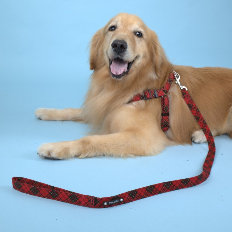 [Toto&Pal] Royal Tartan Check Leash | สายจูงสัตว์เลี้ยง รุ่นรอยัลทาร์ทัน