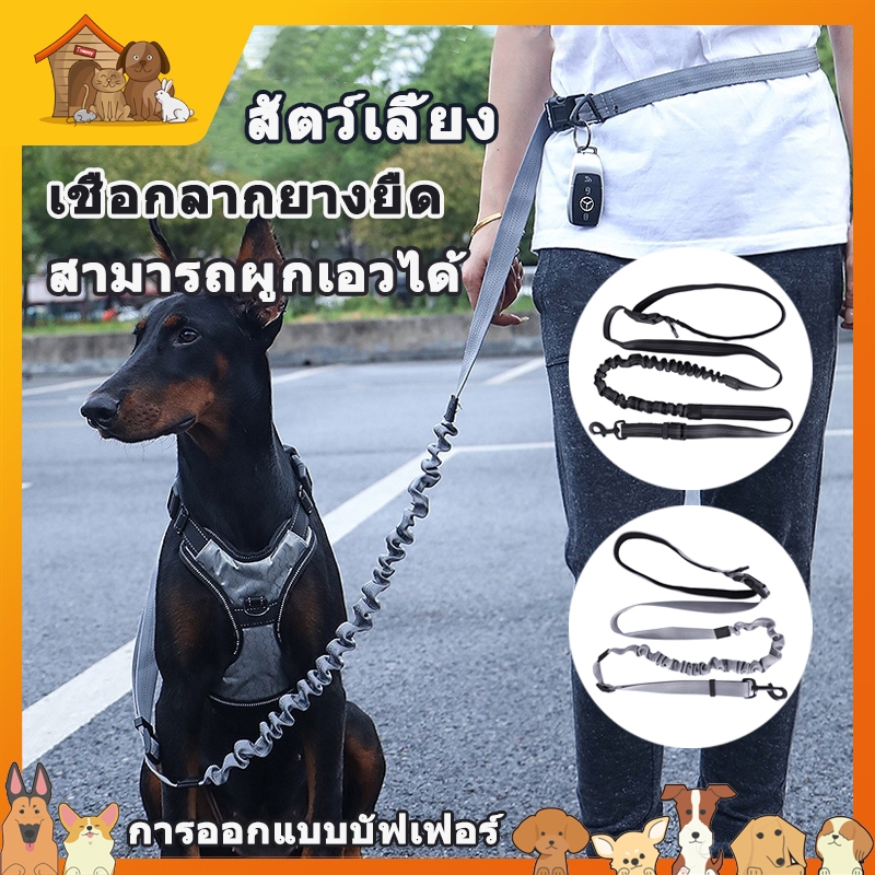 สะท้อนแสงทนทานสายจูงสุนัขขนาดการฝึกอบรมวิ่งเชือกกลางปลอกคอสุนัข สามารถผูกเอวได้ การออกแบบฟองน้ำบัฟเฟอร์ Pet Leash