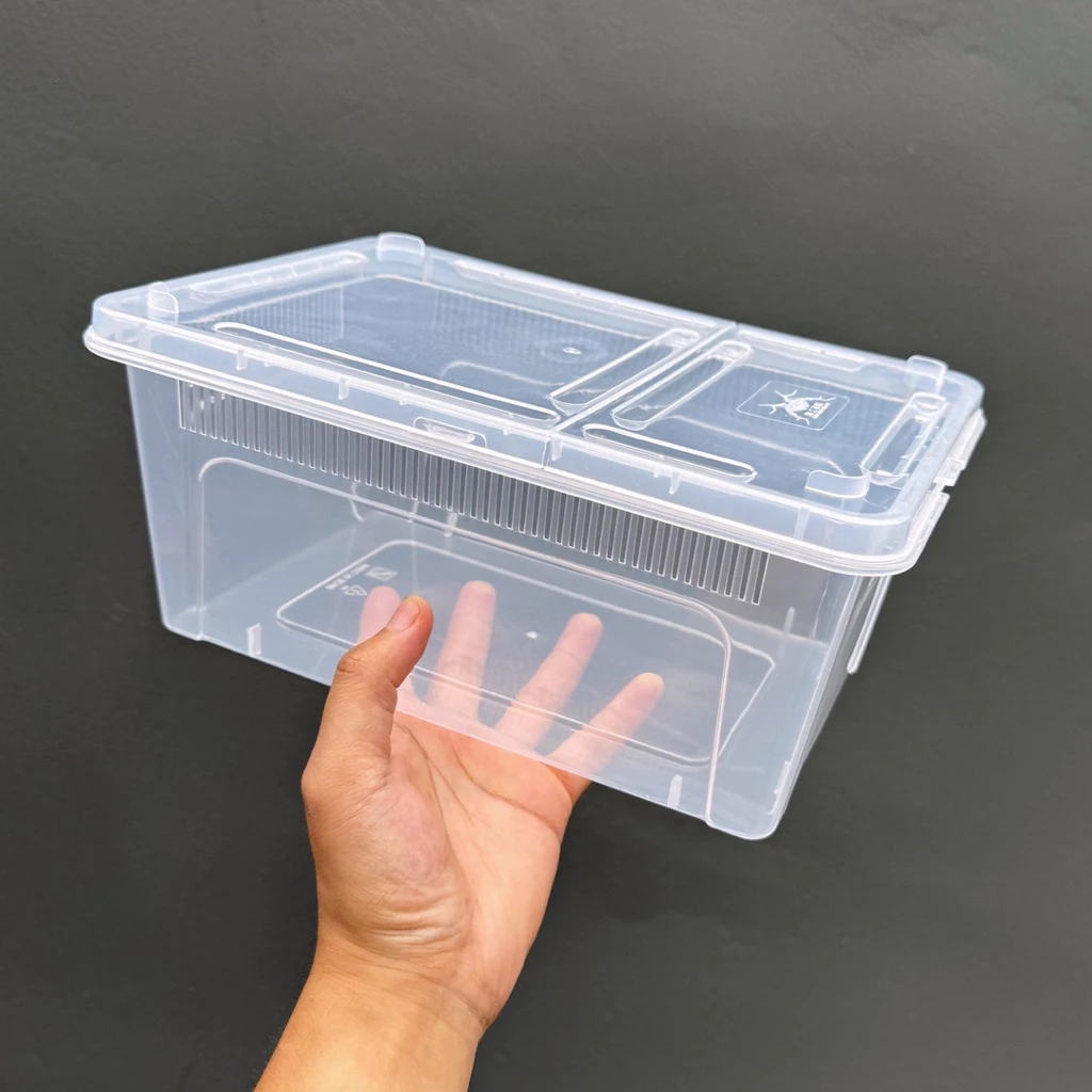 Reptile Box กล่องสัตว์เลื้อยคลาน [M รุ่นใหม่] 27x19x12cm เลี้ยงสัตว์เล็ก สำหรับ แมงมุม ตุ๊กแก ฮอร์นฟรอก ตะขาบ แมงป่อง งู
